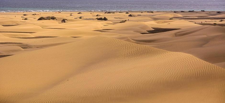 Relax Bungalow With Parking Villa Maspalomas  Luaran gambar